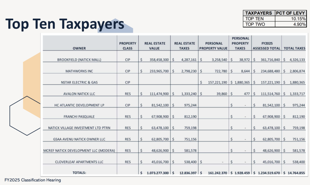 2024 top 10 taxpayers
